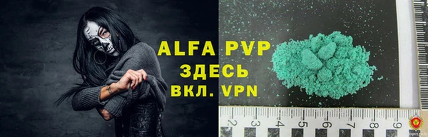 стаф Аркадак