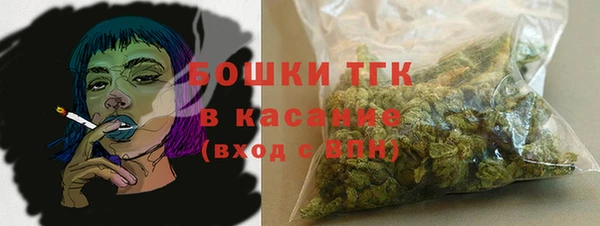 индика Туринск
