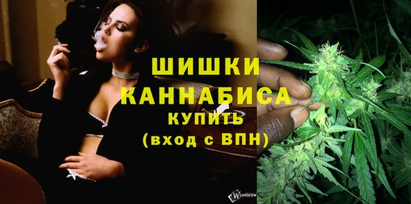 гидра Тутаев